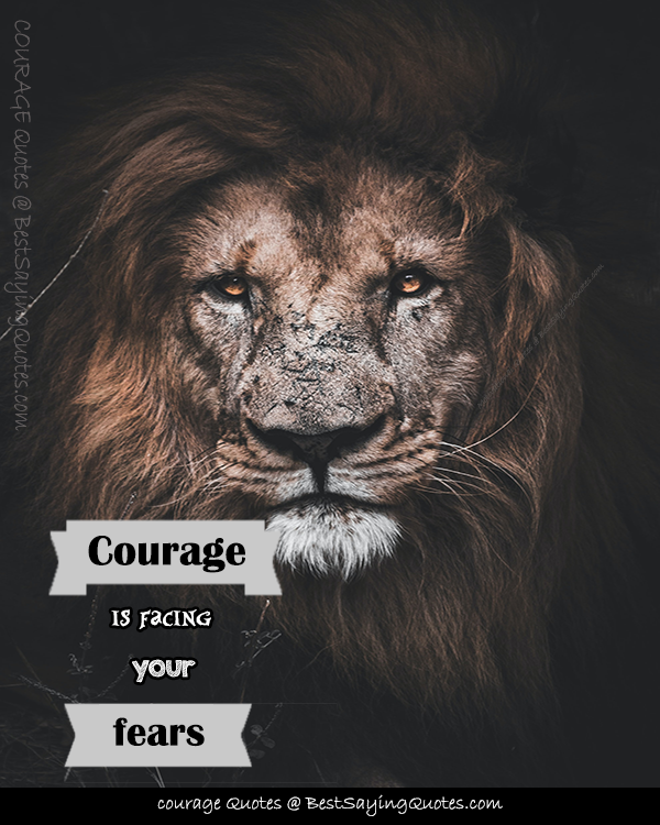 Courage Quotes About Fear