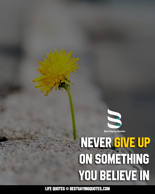 Never Give Up Quotes By Famous Authors