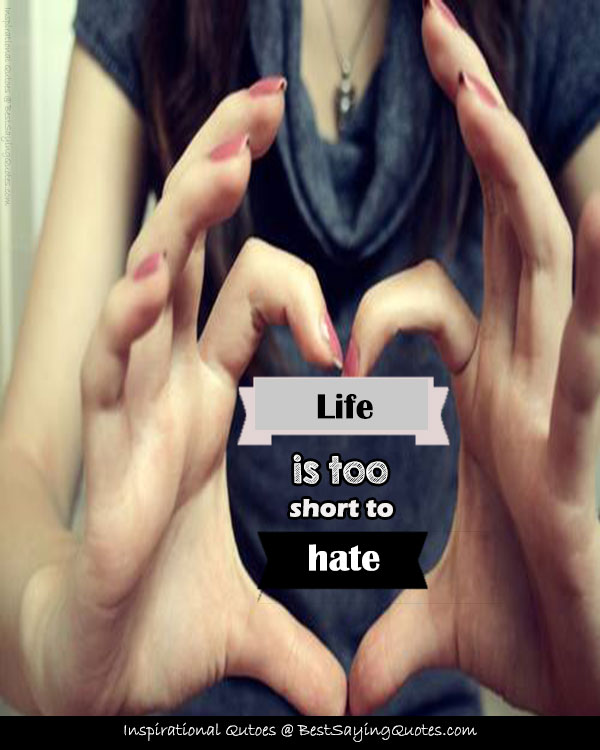 Hate Quotes About Life