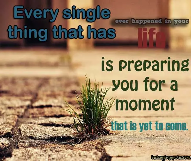 Best Life Quotes and Sayings