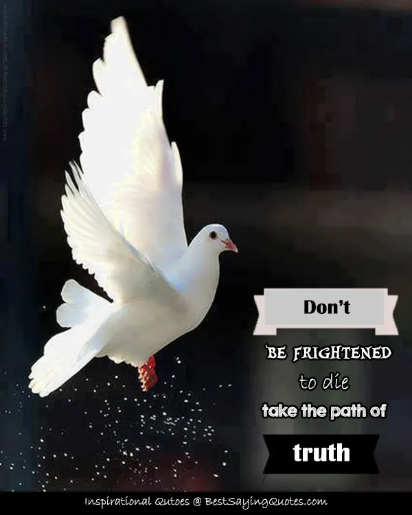 Inspirational Thoughts About Life